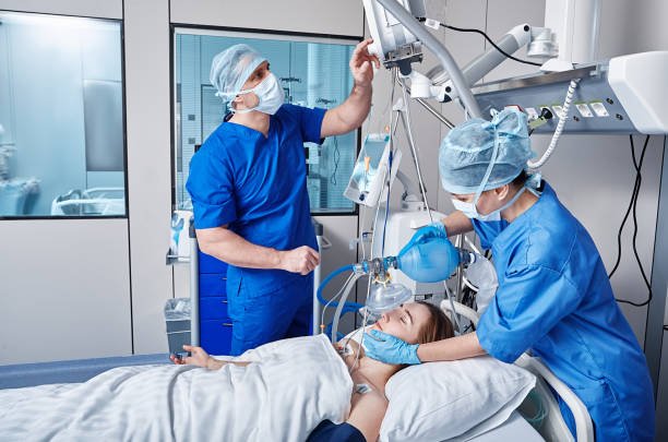 istockphoto-1466268284-612x612